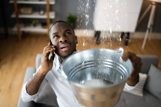 Best Professional water damage repair  in Felton, DE