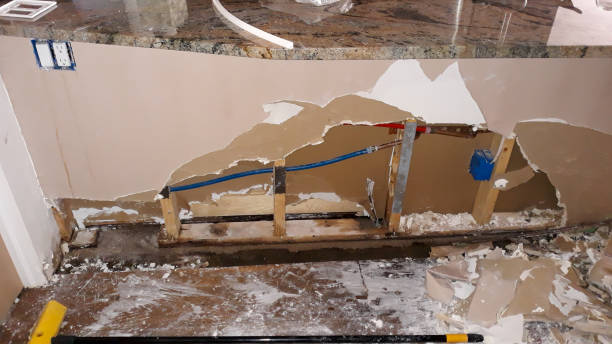 Best Ceiling water damage repair  in Felton, DE