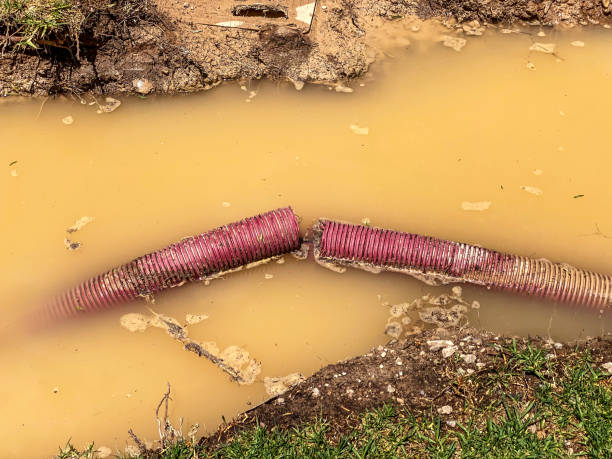 Best Emergency water damage restoration  in Felton, DE